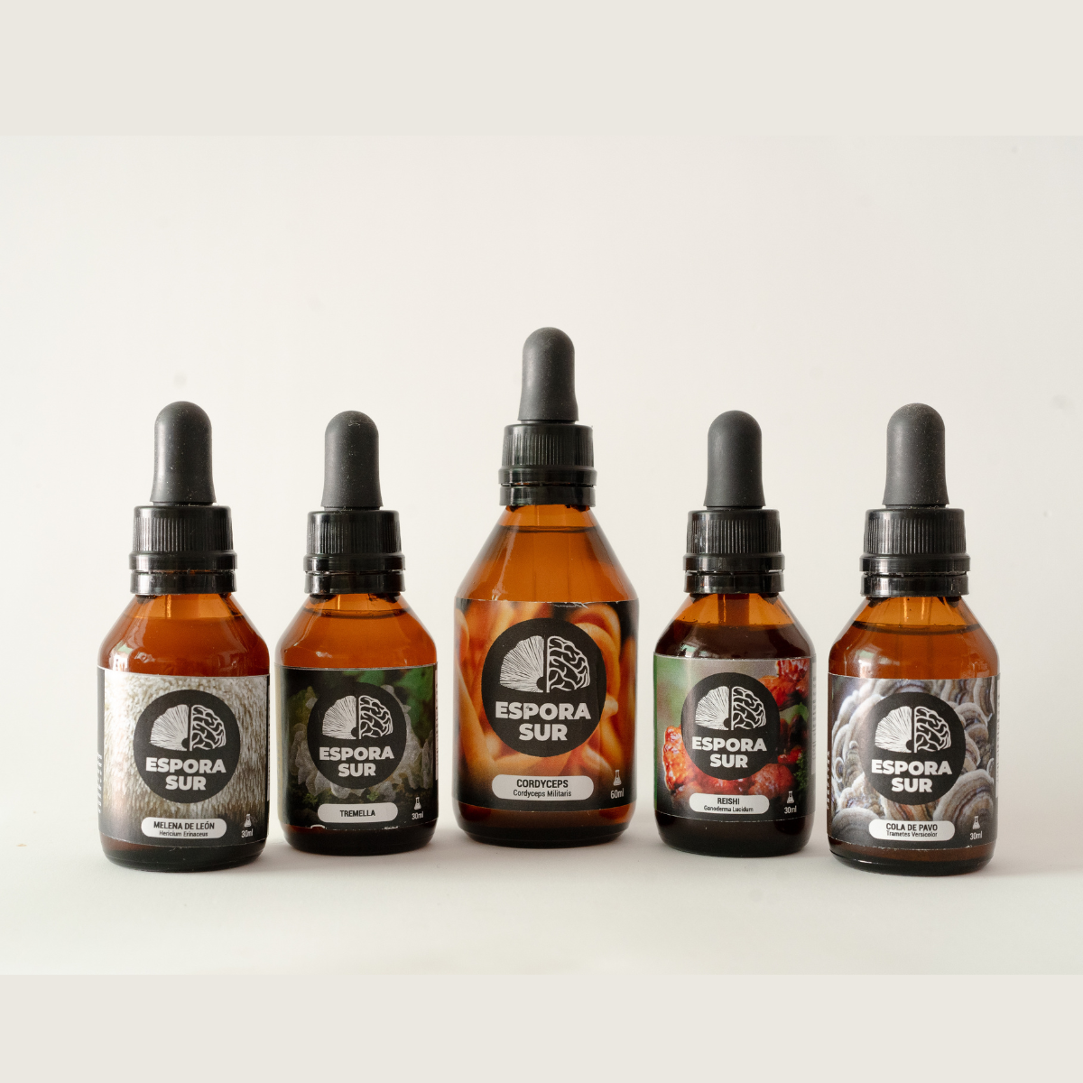 Pack x5 60ML PROTOCOLO PROLONGADO -Melena de leon, Reishi, Cordyseps, Cola de pavo, Tremella- 60ml