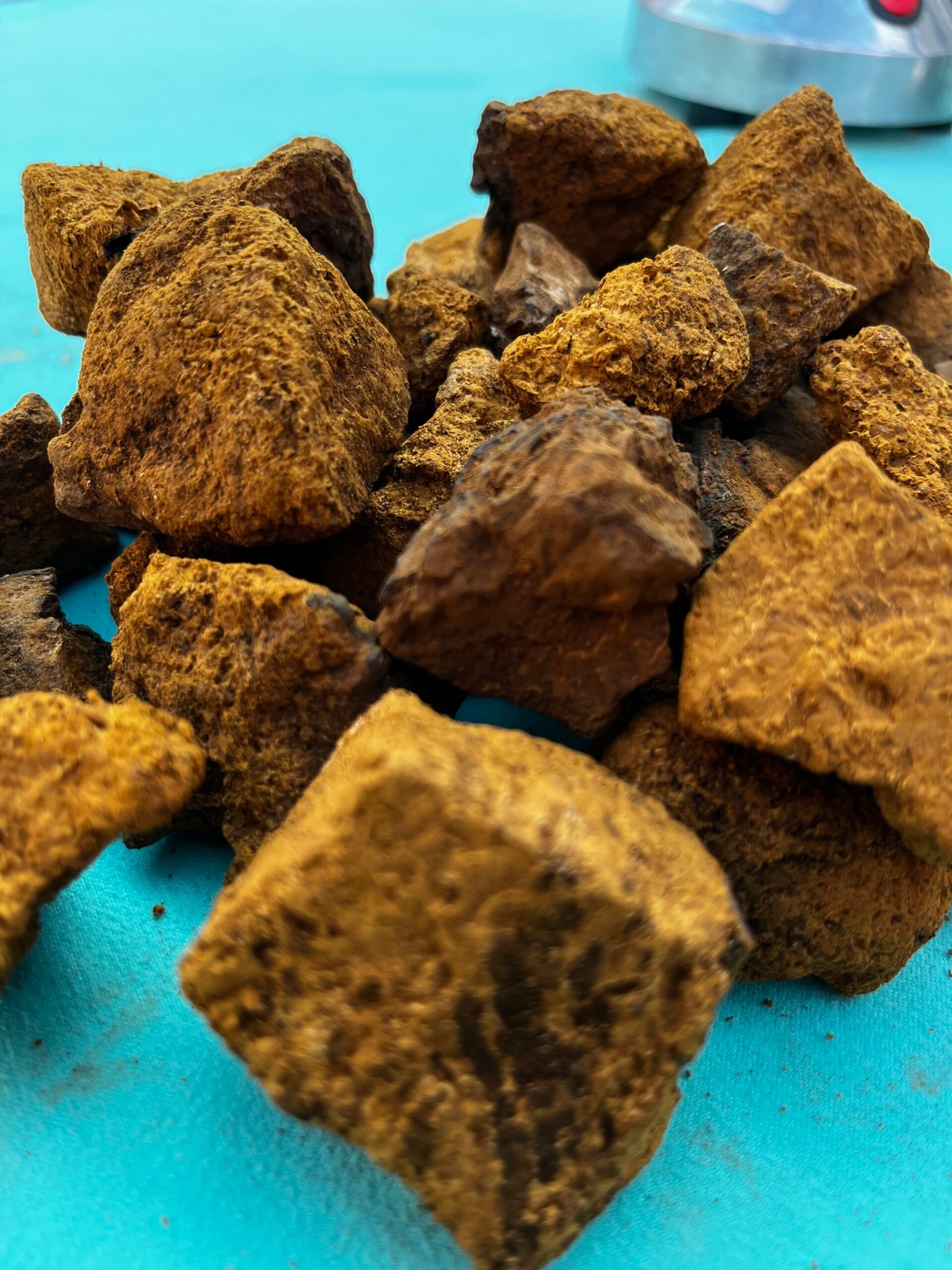 Alternative view of Hongo Chaga