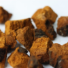 Hongo Chaga