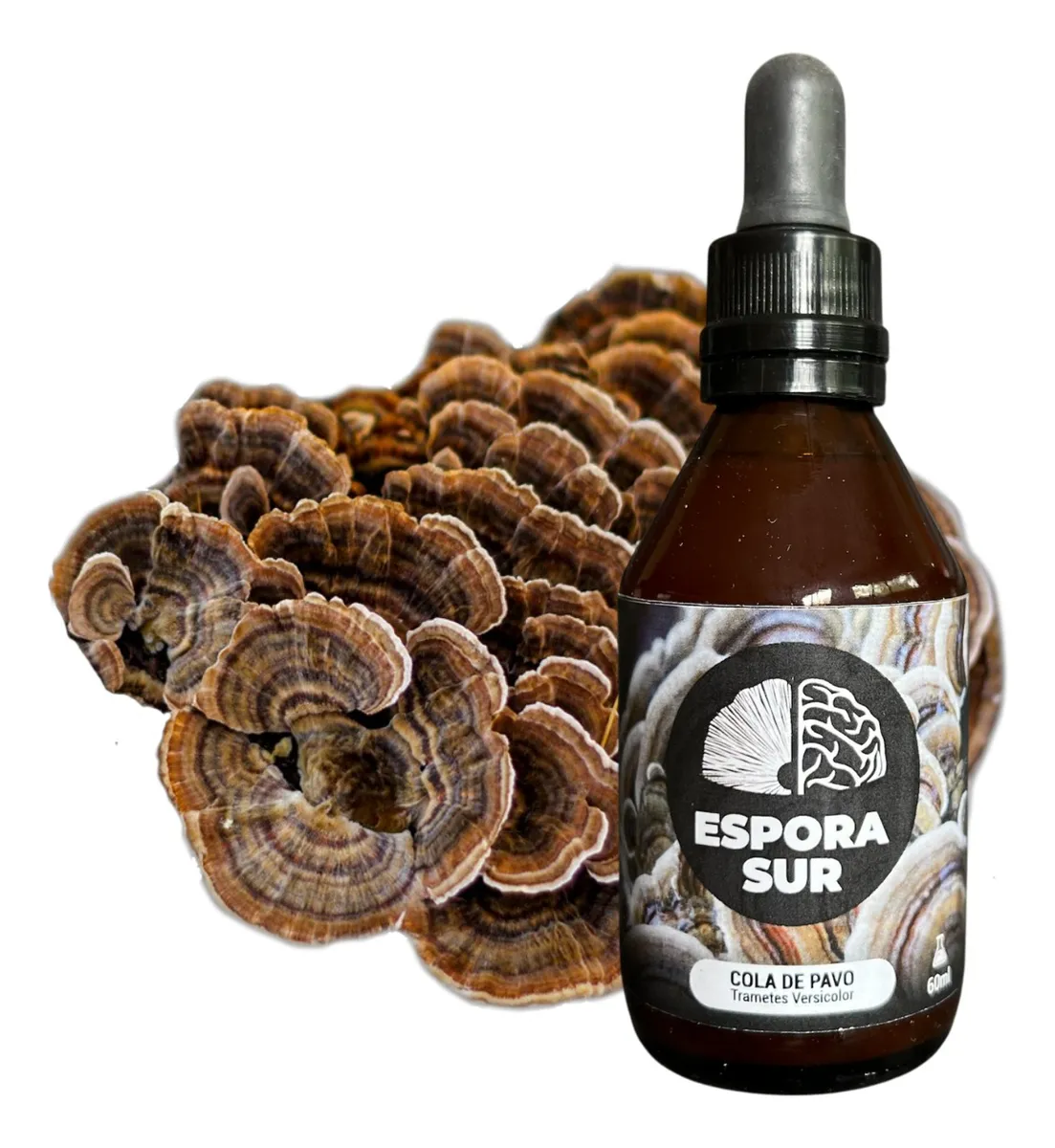Cola de pavo (extracto 60ml)