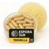 Tremella - Hongo Adaptogeno Antioxidante - Capsulas 60u