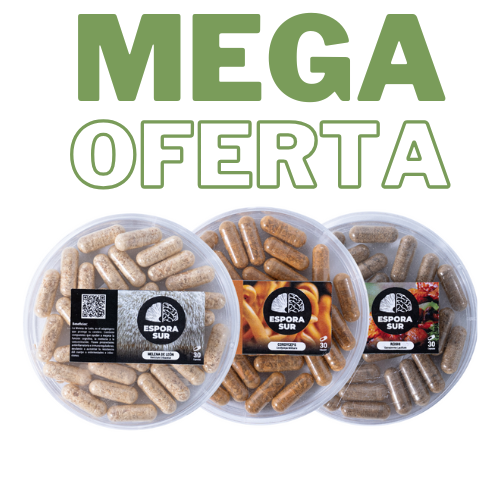 Pack x3 Adaptogenos -Melena de Leon, Reishi, Cordyseps- 120caps c/u